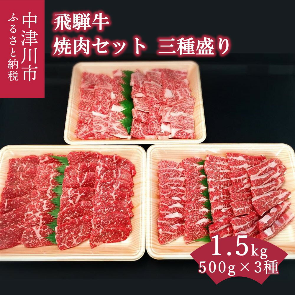 【ふるさと納税】飛騨牛 焼肉 セット 三種盛り 1.5kg バーベキュー キャンプ【おうちBBQ】お届け：入金確認から2週間以内に順次発送 F4N-0622