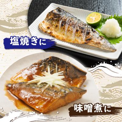 ふるさと納税 銚子市 【訳あり】定塩ノルウェーさばフィレ　約2.8kg |  | 03