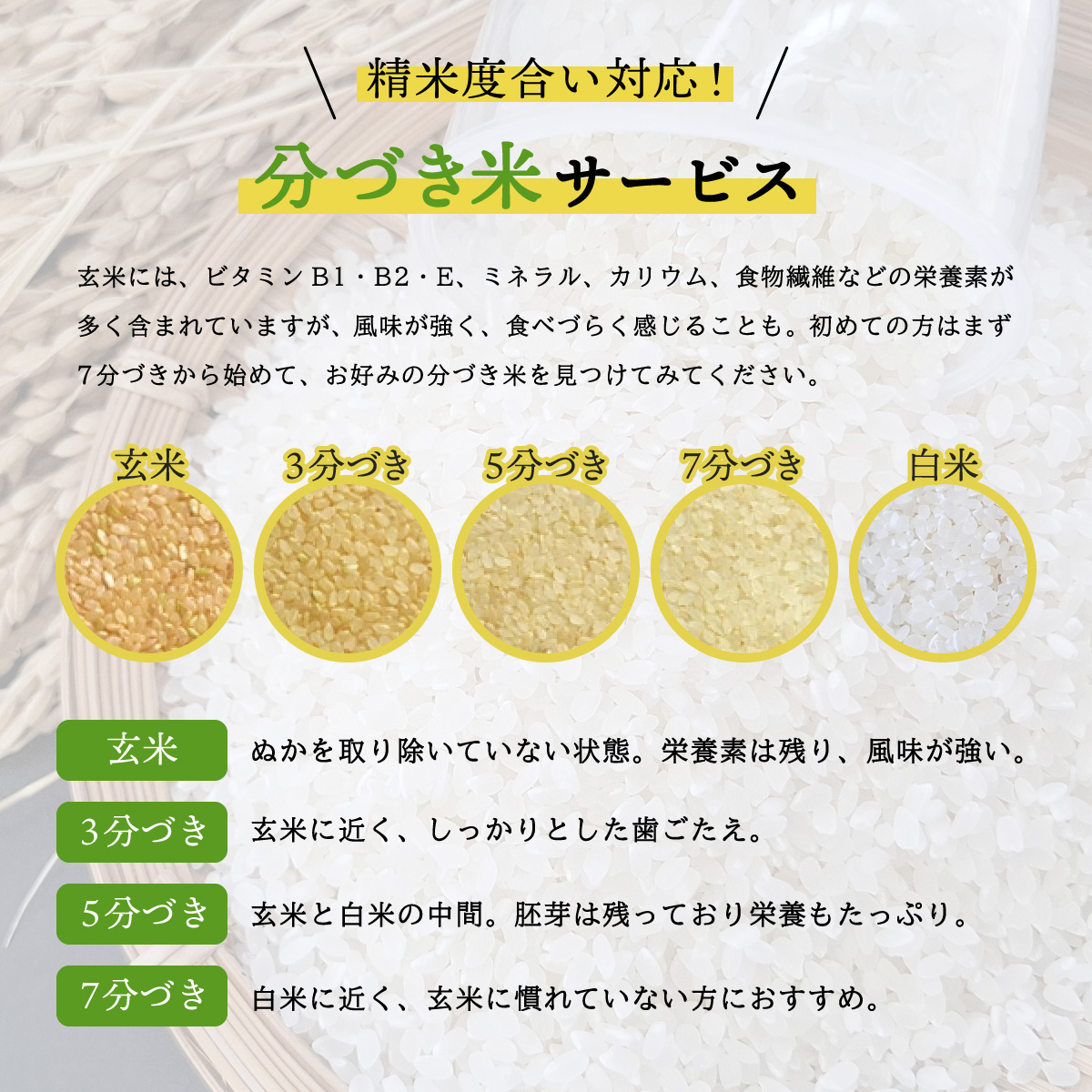 【先行予約】はなえちぜん 白米 5kg×6回 6ヶ月連続 定期便 30kg 真空パック ハナエチゼン 米 簡易梱包 エコ梱包【８月下旬以降順次お届け】