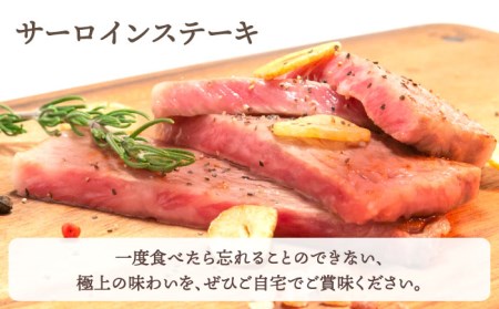 【全3回定期便】おふたりさま向け 佐賀牛ロース HBH078 ロース 佐賀牛 定期便