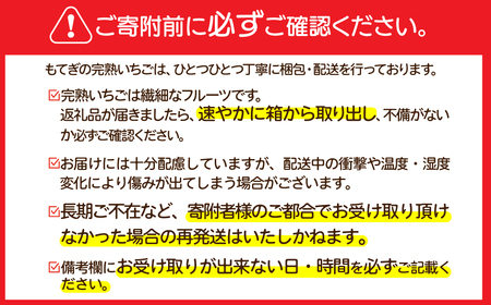 いちご【3月発送】朝採れとちおとめ 大粒 約270g × 2パック 合計 約540g | イチゴ 栃木県 茂木町