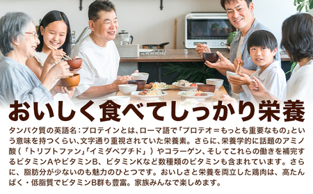 鶏肉 もも 4kg 鶏肉