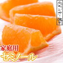 【ふるさと納税】＜4月より発送＞家庭用 セミノールオレンジ3kg+90g（傷み補償分）【有田の春みかん】【有田産】【光センサー食べ頃出荷】【わけあり・訳あり】 | フルーツ 果物 くだもの 食品 人気 おすすめ 送料無料