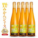 【ふるさと納税】賢みかんジュース500ml 5本セット ギフト | 飲料 ドリンク 食品 人気 おすすめ 送料無料