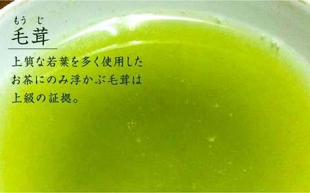 奥八女星野村　伝統本玉露[50g]×2袋《築上町》【株式会社ビーキューブ】 八女茶 [ABDF028] おすすめお茶 こだわりお茶 自宅用お茶 人気お茶 贈答用お茶 お茶リーフ 八女のお茶 玉露お茶 