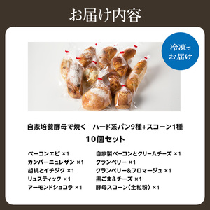 ハード系パン9種＋スコーン1種セット！ 自家培養酵母で焼くハード系パン 合計10点 国産小麦で作るハード系パン 自家製酵母のハード系パン 朝食 軽食 おやつ 自然素材「Boulangerie Fave