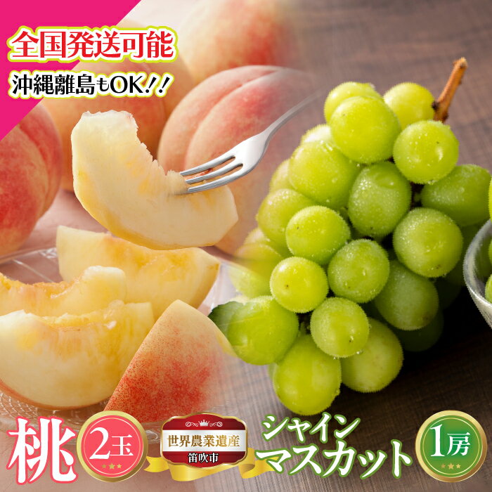 【ふるさと納税】【2026年発送★先行予約】山梨県笛吹市産 桃2玉 シャインマスカット1房 約1kg ふるさと納税 人気 おすすめ ランキング もも 桃 シャインマスカット 国産 人気 期間限定 果物 フルーツ ギフト 贈り物 プレゼント 旬 山梨県 笛吹市 送料無料 223-014