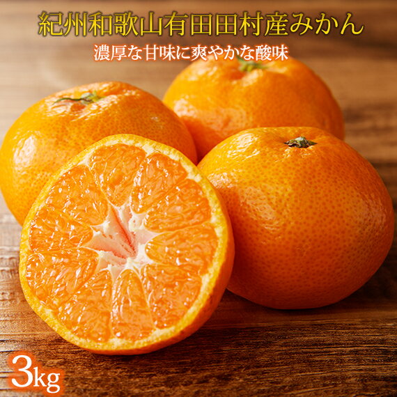【ふるさと納税】【先行予約】高級ブランド 秀品 紀州有田田村産みかん 3kg ※2025年12月頃〜2026年1月下旬頃に順次発送予定（日時指定不可） / みかん ミカン 蜜柑 温州みかん 柑橘 フルーツ 果物