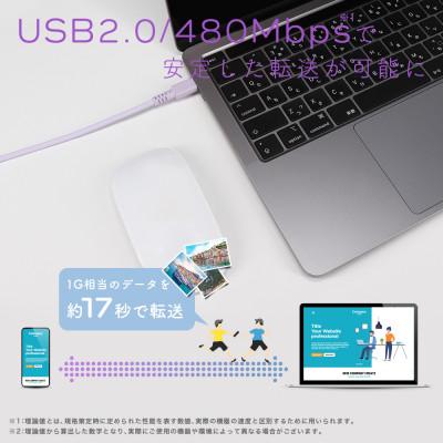 ふるさと納税 海老名市 シリコンケーブル240W CtoC 1mラテグレージュ(MOT-SCB240CCG100-GY) |  | 03