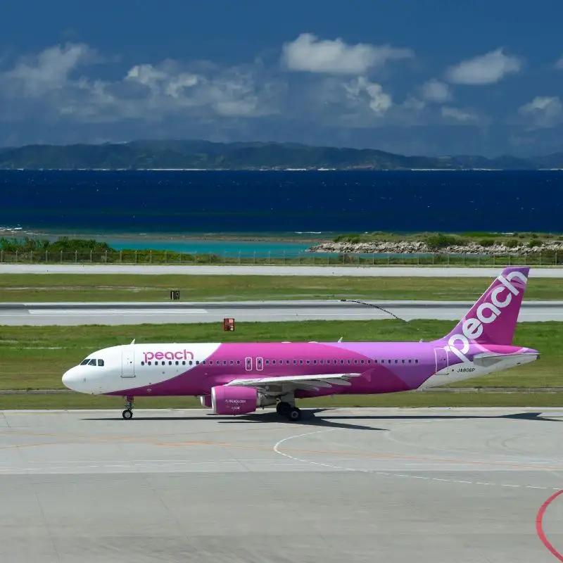 PeachでGo！！泉佐野市宿泊 旅行クーポン（90,000円分）