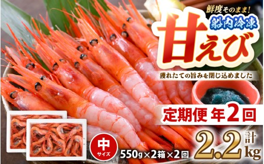 【年2回お届け】 漁船直送！船内瞬間冷凍 甘えび 約1.1㎏ × 2回 計2.2㎏ 【海老 えび エビ アマエビ あまえび 甘海老 殻付き 有頭 生食 刺身 冷凍 魚介類 魚貝類 産地直送 坂井市産 福井県産 国産 三国 人気】 [C-2392]