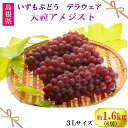 【ふるさと納税】【2025年発送分】先行予約 デラウェア 大粒 3L 6房 1.6kg 糖度 18以上 いずもぶどう　デラウエア（出雲の大粒アメジスト）