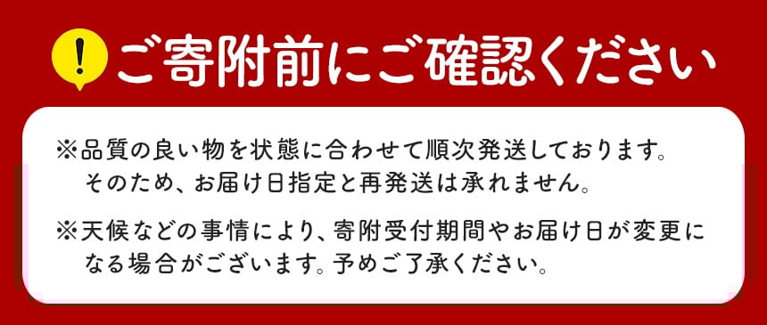 朝採りの新鮮な完熟いちごを急速冷凍しています