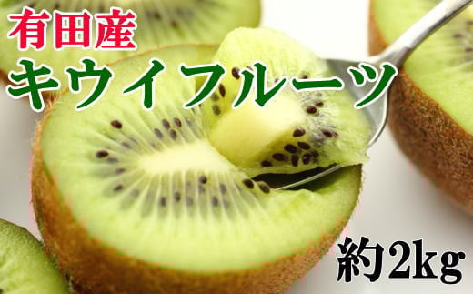 
            ［人気］有田産キウイフルーツ約２kg（サイズ混合）★2026年１月下旬頃より順次発送
          