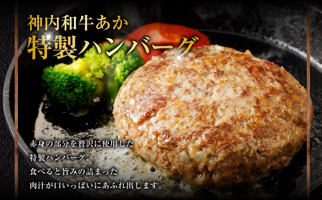 神内和牛あか 100%ビーフハンバーグ 6枚入り（2枚入り×3パック）