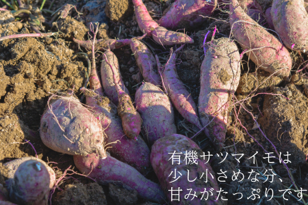 有機サツマイモ　農薬不使用　有機JAS認証　期間限定（12、1、2月）旬野菜 2135 オーガニック　無農薬　化学肥料不使用　ゆっくり育ったので旨味が凝縮　さつまいも　甘藷　