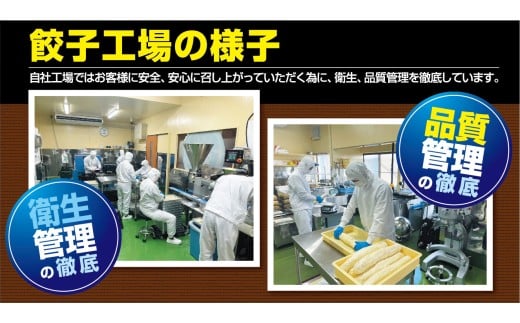 【自家製】小見川名物餃子　25個入×2箱 KTRBB002