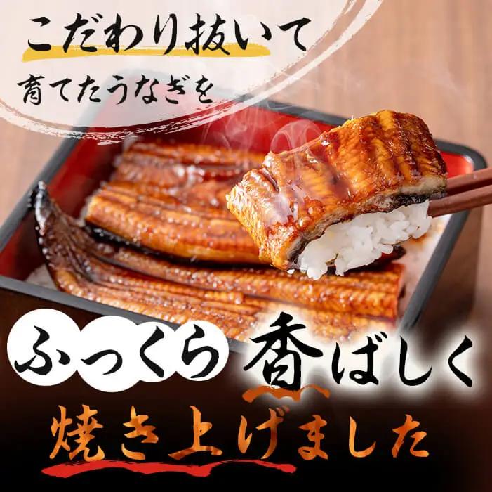 鹿児島県産 伊崎田のうなぎ蒲焼 特大＜190g以上＞× 5尾(計950g以上) うなぎ 鰻 ウナギ 国産 鹿児島県産 九州産 蒲焼き 冷凍 うな重 ひつまぶし c9-001