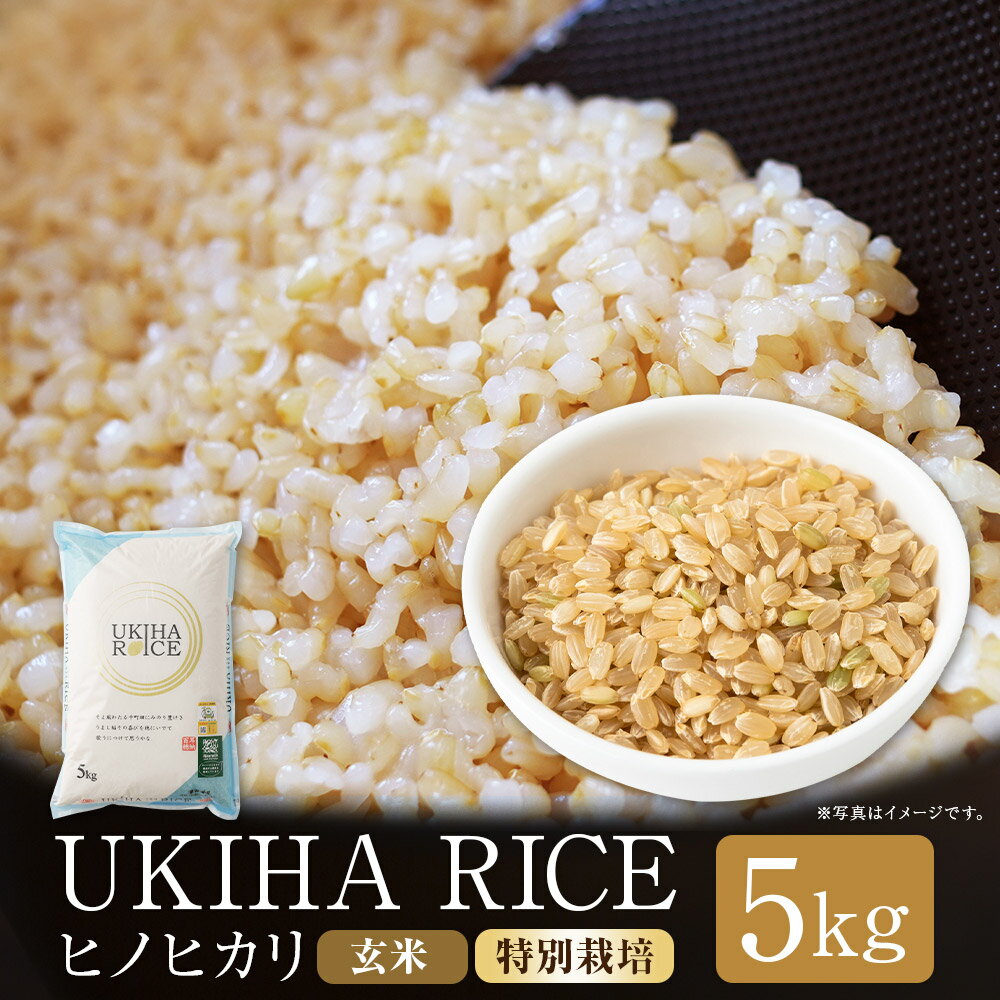 【ふるさと納税】UKIHA RICE 玄米（特別栽培米） ヒノヒカリ 5kg お米 こめ 単一原料米 ごはん ご飯 福岡県産 国産 福岡県 うきは市 送料無料 【2025年11月上旬から2026年3月下旬発送予定】