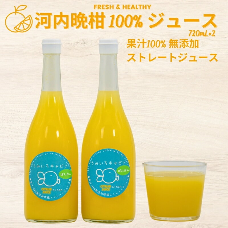 【ふるさと納税】数量限定 河内晩柑 ( 愛南ゴールド ) ジュース 720ml 2本 セット 愛南 ゴールド オレンジジュース 柑橘 果汁 無添加 果汁 100% ジュース 贈答 ギフト プレゼント 愛媛 みかん 蜜柑 ゼリー 国産 みかんジュース 焼酎 蒸留酒 うみいろキャビン 愛媛県 愛南町