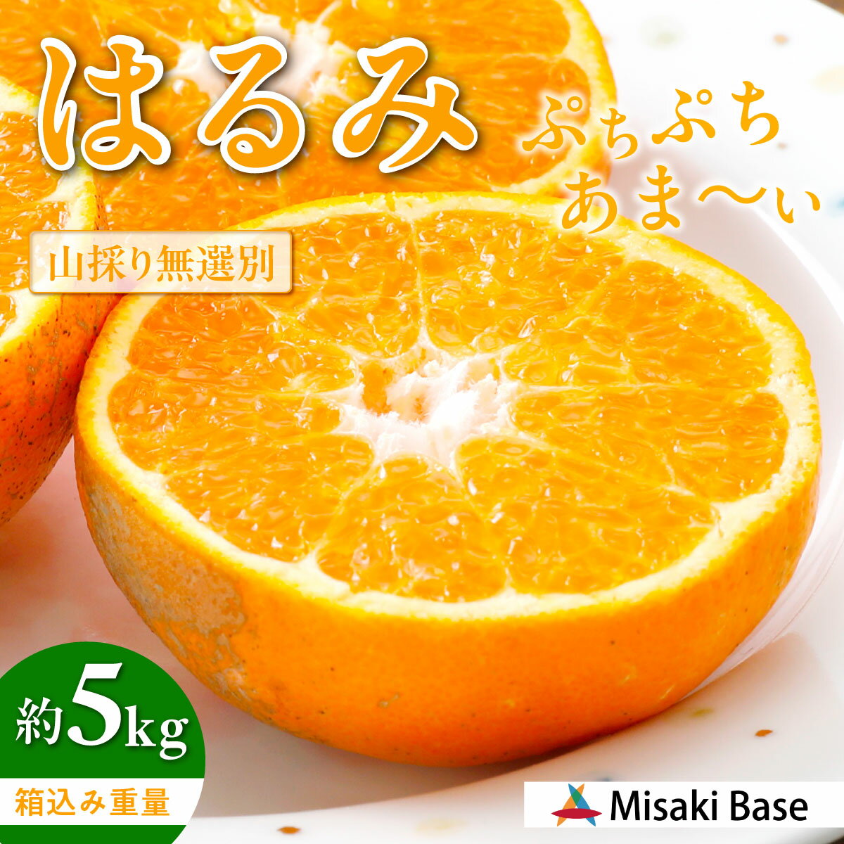 【ふるさと納税】 【先行受付】【数量限定】【山採り無選別】はるみ 5kg ※離島への配送不可（2026年2月より順次発送） 【 ふるさと納税 人気 おすすめ ランキング みかん ミカン 果物 はるみ はるみオレンジ フルーツ 糖度 甘い タンゴール オレンジ 家庭用 】 IKTAB011