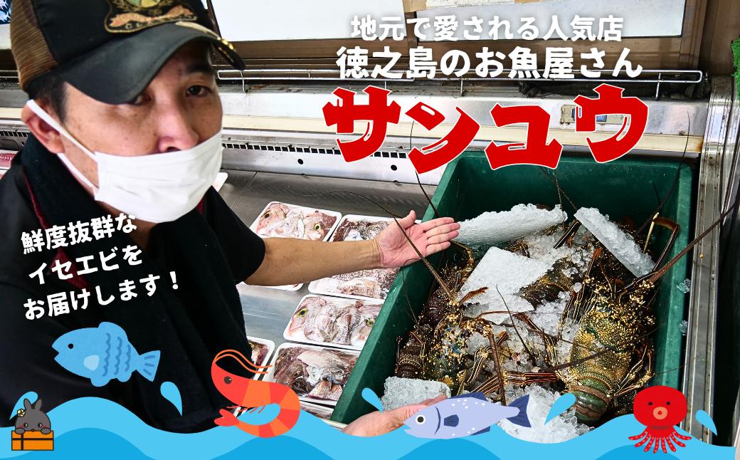 鹿児島県徳之島町の人気鮮魚店「サンユウ」さんから直送です。