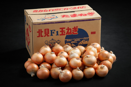 「数量限定訳あり品」玉ねぎMサイズ・20kg 【 ふるさと納税 人気 おすすめ ランキング たまねぎ 玉ねぎ 玉ネギ タマネギ 玉葱 オニオン 20kg スライス サラダ ハンバーグ 肉じゃが 味噌汁