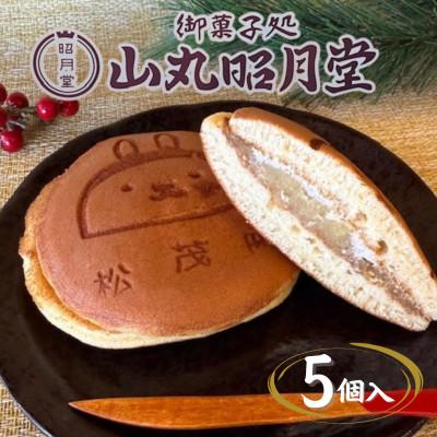 ふるさと納税 松茂町 《5個入り》松茂係長 芋どら焼　100g×5　化粧箱入り　なると金時をたっぷり使用