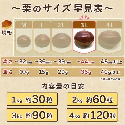 ふるさと納税 西予市 大粒生栗 3Lサイズ(約1kg)大きい 甘い産地直送 城川ファクトリー |  | 03