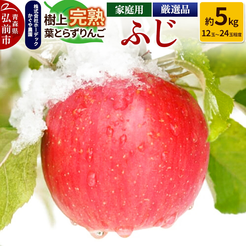 【ふるさと納税】【25年11月〜発送】りんご ふじ 約5kg（12玉〜24玉程度）樹上完熟葉とらず【家庭用】厳選品 青森県産 りんご