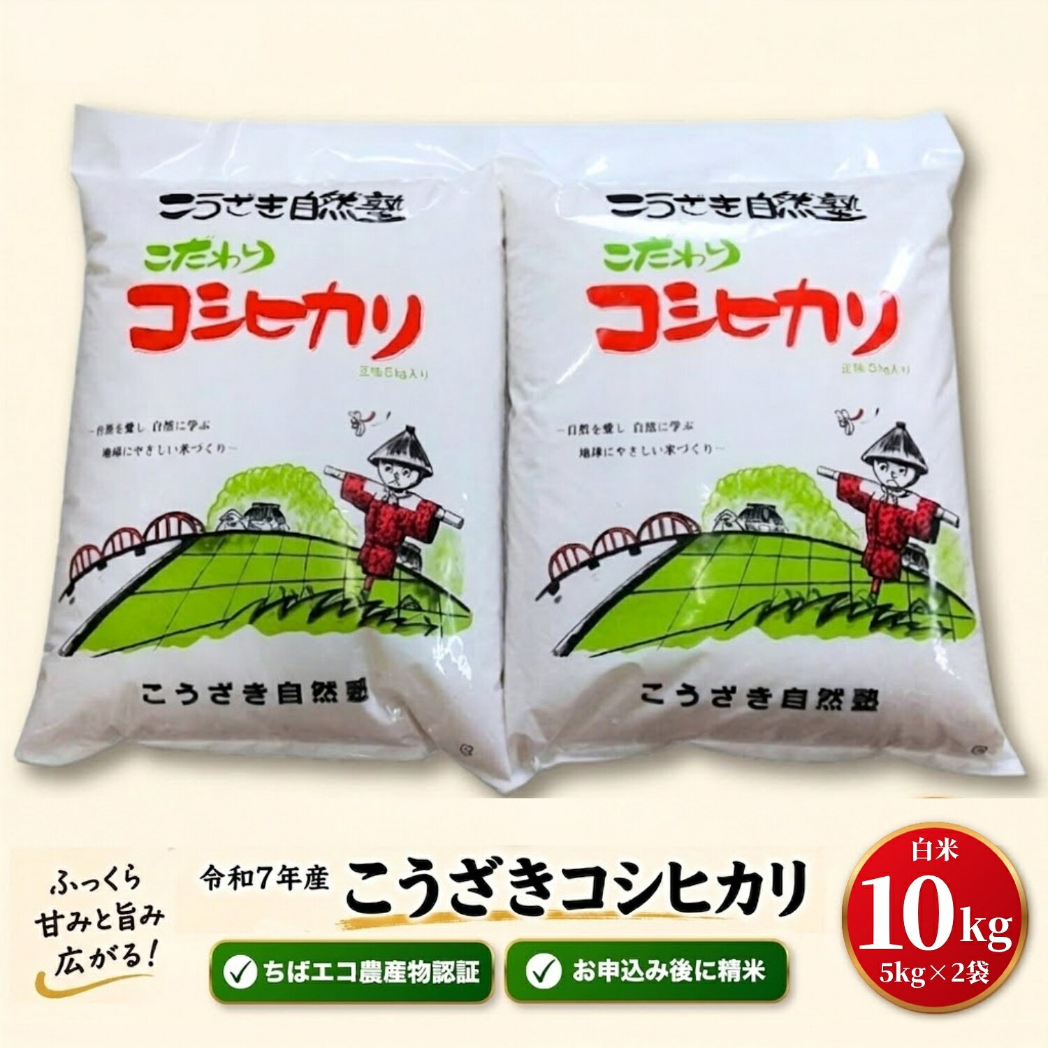 【ふるさと納税】【緊急支援・数量限定】米 10kg コシヒカリ 令和7年産 白米 5kg×2袋 千葉県神崎町産 ちばエコ農産物認証 単一原料米 検査1等米注文後精米 栽培期間中化学肥料不使用 こうざき自然塾 お米 こめ 送料無料 [014-a037]