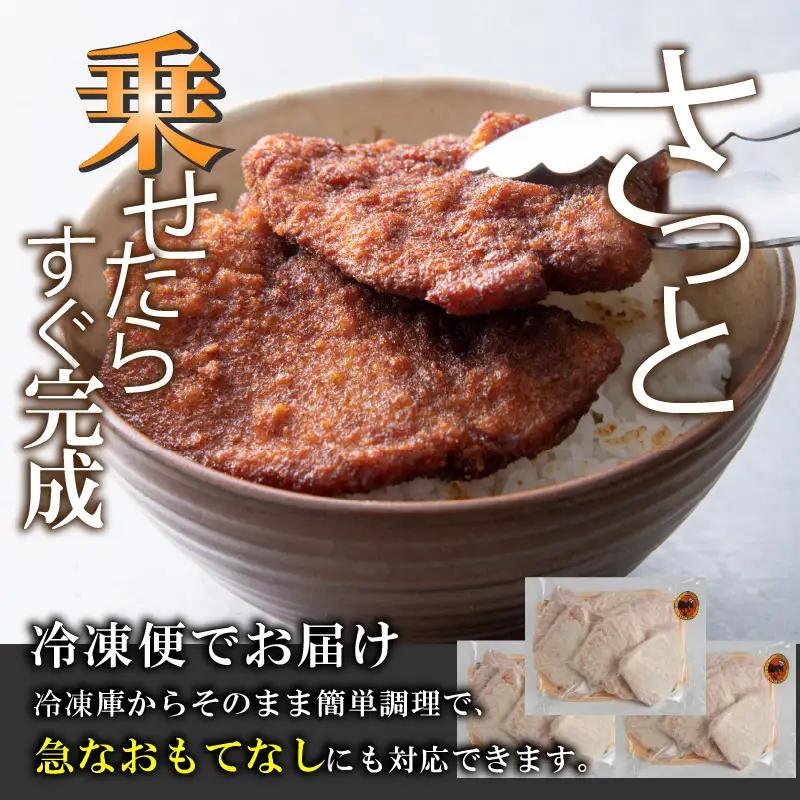 惣菜 ソースカツ丼セット 9人前 [A-037020]