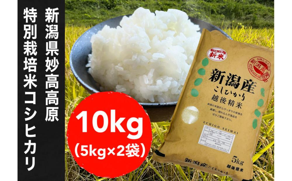 【令和7年度産新米】新潟県妙高高原減農薬特別栽培米コシヒカリ 10kg