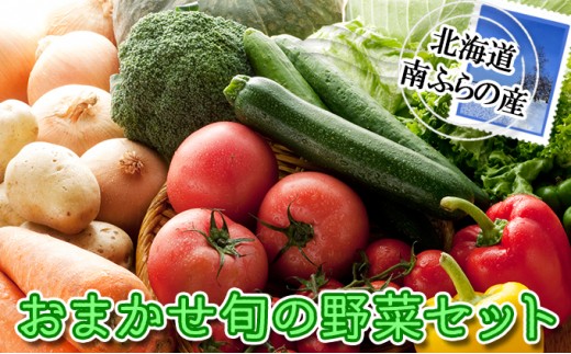 
                  野菜 北海道 おまかせ 旬 野菜セット 南ふらの町 産地直送 旬の野菜 詰め合わせ セット ミニトマト きゅうり ズッキーニ なす とうもろこし ピーマン 夏野菜 夏 秋 2026年発送 
                