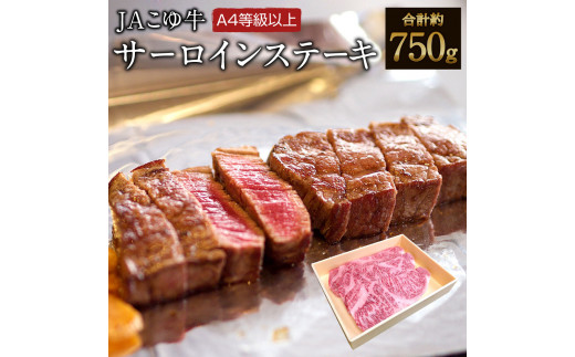 
宮崎黒毛和牛＜JAこゆ牛＞サーロインステーキ750g（250g×3枚）【C1】
