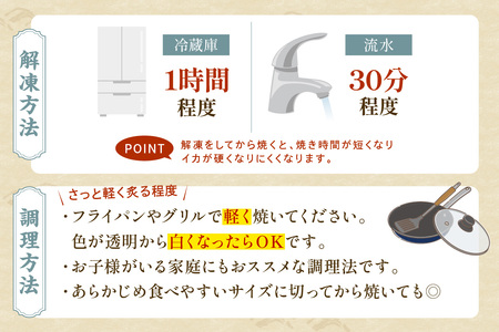 島根県浜田加工　真空包装で鮮度抜群真イカの一夜干し6枚（計400ｇ以上） 【1987】