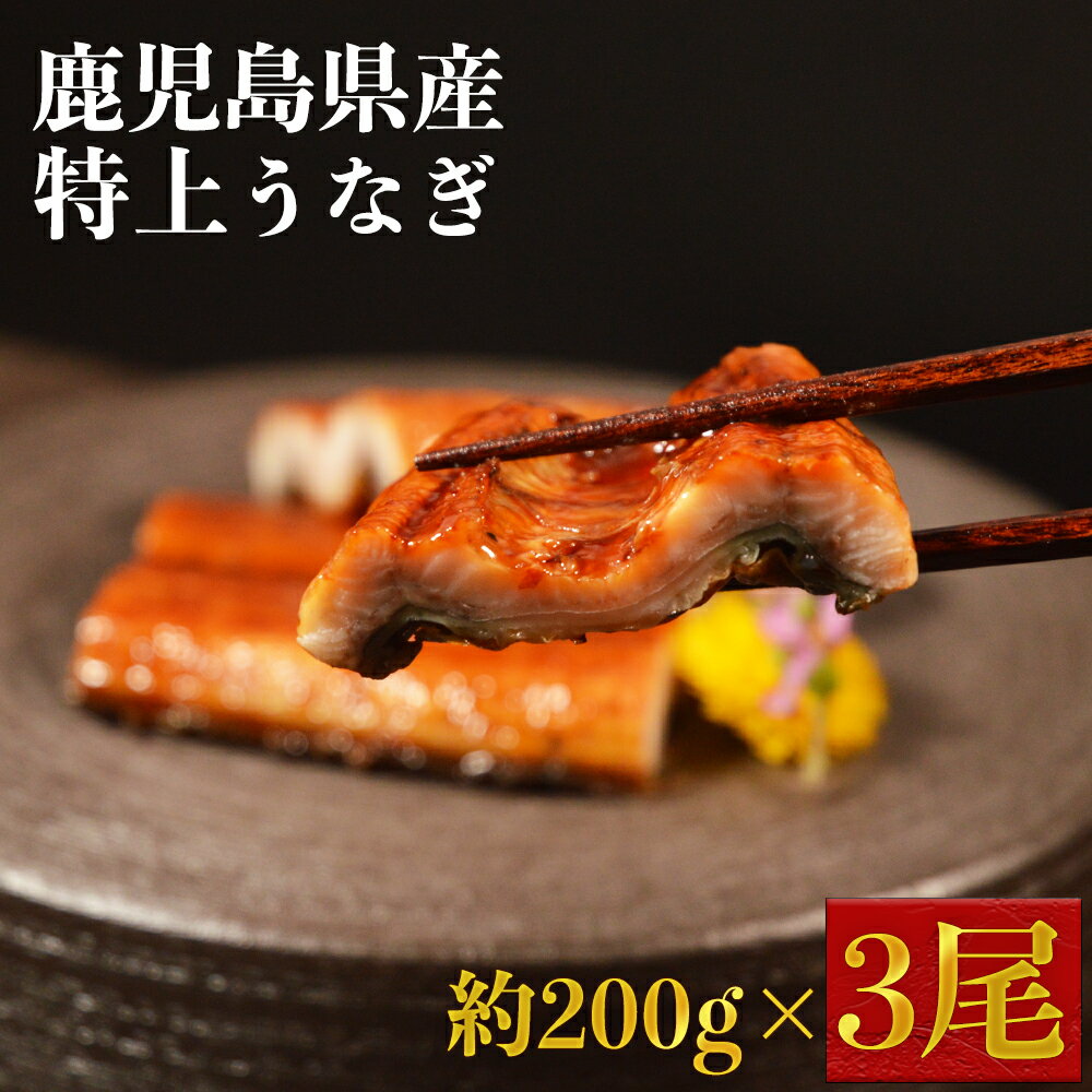 【ふるさと納税】 特上うなぎ約600g (約200g×3尾) 蒲焼き 丑の日 うなぎ 蒲焼 3尾 訳あり 特上 タレ付き 国産 鹿児島産 熊本県 水上村