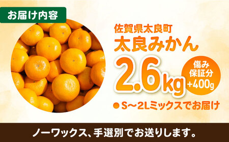 【2026年10月下旬以降発送】完熟 太良みかん 計3kg（2.6kg＋400g傷み保証分） / 佐賀県 / 山本農園 [41ATBT002]