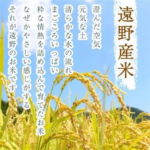 【入金確認後、最短5日で出荷】 【令和7年産】あきたこまち(精米) 岩手県遠野市産 10kg 河判【1702584】