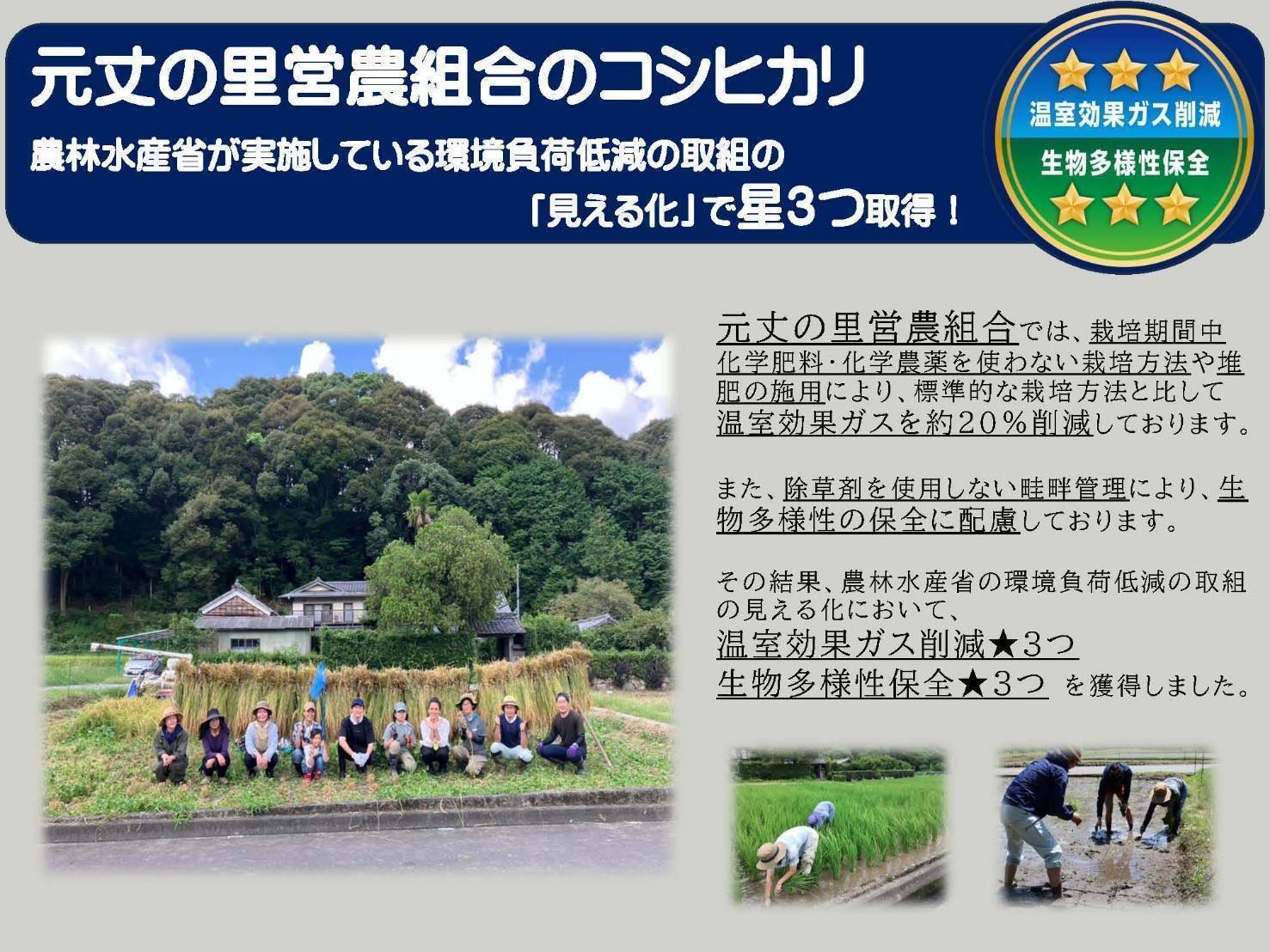 コシヒカリ 5㎏ れんげ緑肥で育てたみえの安心食材の認定 　化学肥料 不使用 みえ 安心食材認定 国産 コシヒカリ コシヒカリ コシヒカリ コシヒカリ GE-03