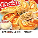 【ふるさと納税】冷凍餃子専門店 小山餃子 [Mセット全85個]ひとくち餃子60個/大きい餃子25個【配送不可地域：離島】【1277811】