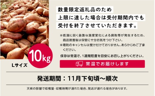 【先行予約】安納いも さつまいも 10kg (Lサイズ)【秀さん農園】種子島 焼きいも 焼き芋 本場 安納芋  さつま芋 甘い ねっとり スイーツ おやつ グルメ お取り寄せ おせち 人気 種子島産 返礼品 南種子町 鹿児島 かごしま 【観光物産館トンミー市場】