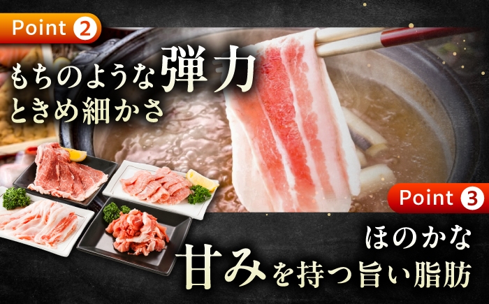 豚肉 ぶたにく 豚 ブタ 大容量 小分け 個包装 真空パック 国産豚肉 精肉