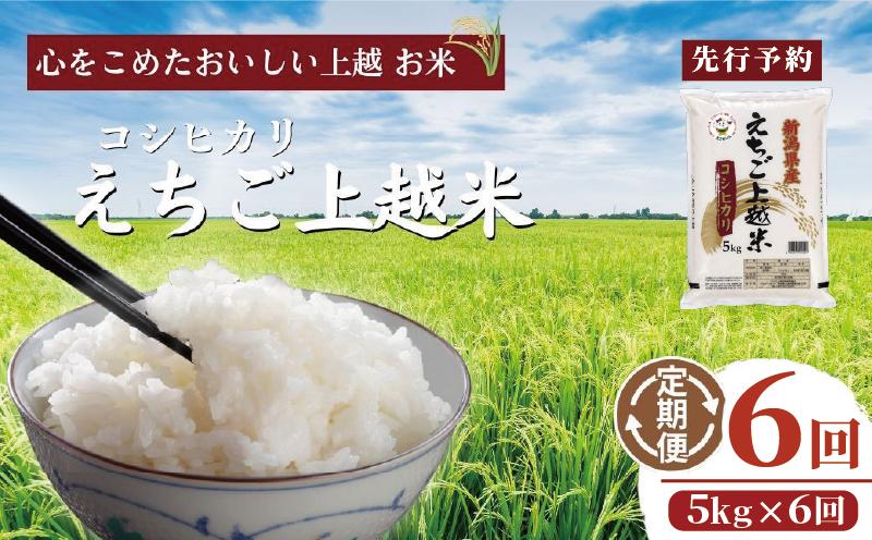 令和7年 新米 新潟県産コシヒカリ えちご上越米　定期便 【6ヶ月連続お届け】5kg×6回 30kg 新潟 米 新潟県 こしひかり 限定 おすすめ