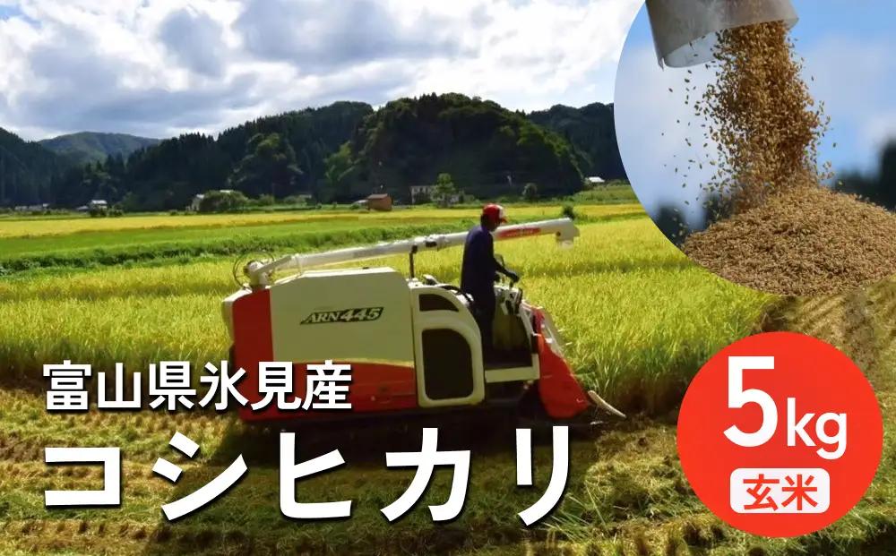 米 令和7年産 富山県氷見産 コシヒカリ 玄米 5kg 