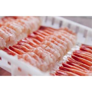 桂新堂 海老づくし（4カップと13袋入）