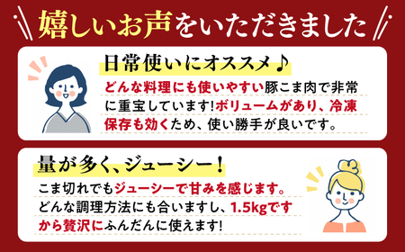 【 訳あり 】【使い勝手◎】 長崎うずしおポーク こま切れ 計1.5kg（500g×3P）＜スーパーウエスト＞[CAG015] 長崎 西海 ブランド豚 豚 豚肉 肉 国産豚 切り落とし 豚 切り落とし