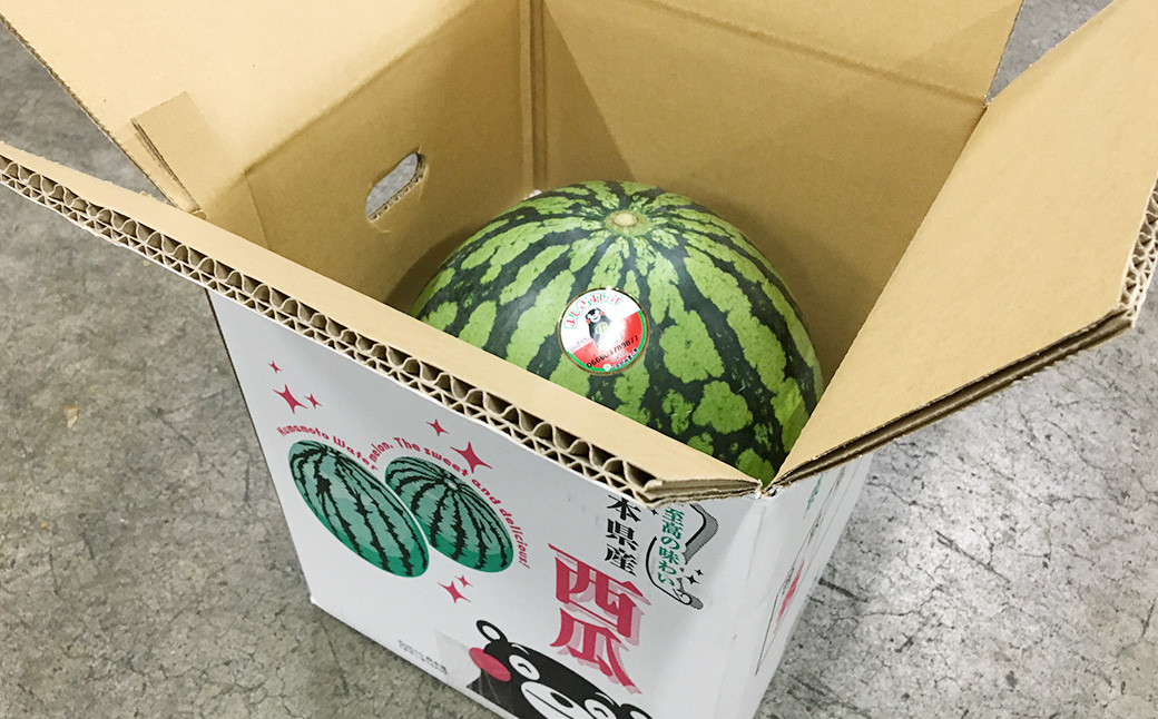 大玉 スイカ１玉 熊本県 益城町産 約6kg以上