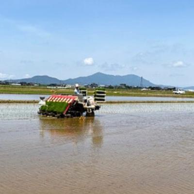 ふるさと納税 三条市 先行受付 新潟県三条市産 コシヒカリ 無洗米 5kg [グリーンファーム渡前] 【017S142】 |  | 01