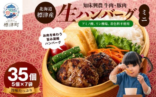 北海道産 生ハンバーグ ミニ 選べる 35個 セット ( 5個 × 7パック ) 冷凍 手作り ハンバーグ 国産 保存料不使用 牛肉 豚肉 ギフト お弁当 子供 子ども こども 安心 アミノ酸不使用 リン酸塩不使用 着色料不使用 牛 豚 肉 肉加工品 加工品 国産肉 国産豚 国産牛 はんばーぐ hannba-gu 冷凍食品 ロコモコ ロコモコ丼 小さめ 便利 パック 北海道 標津町